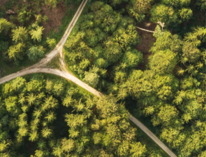 Finanzielle Sicherheit Finanzielle Sicherheit