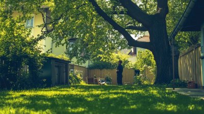 Gemeinschaftsgärten: Mehrwert für Nachbarschaften und Immobilien 